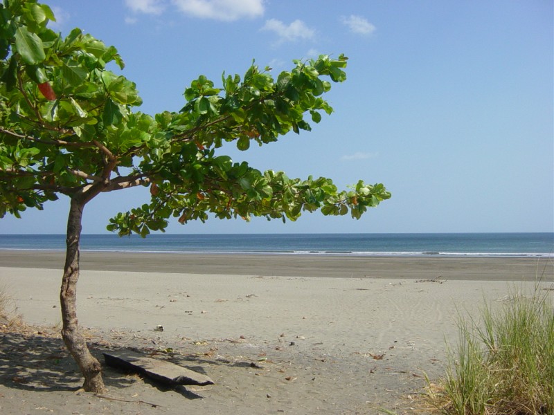 oceanfront-land-las-tablas-panama